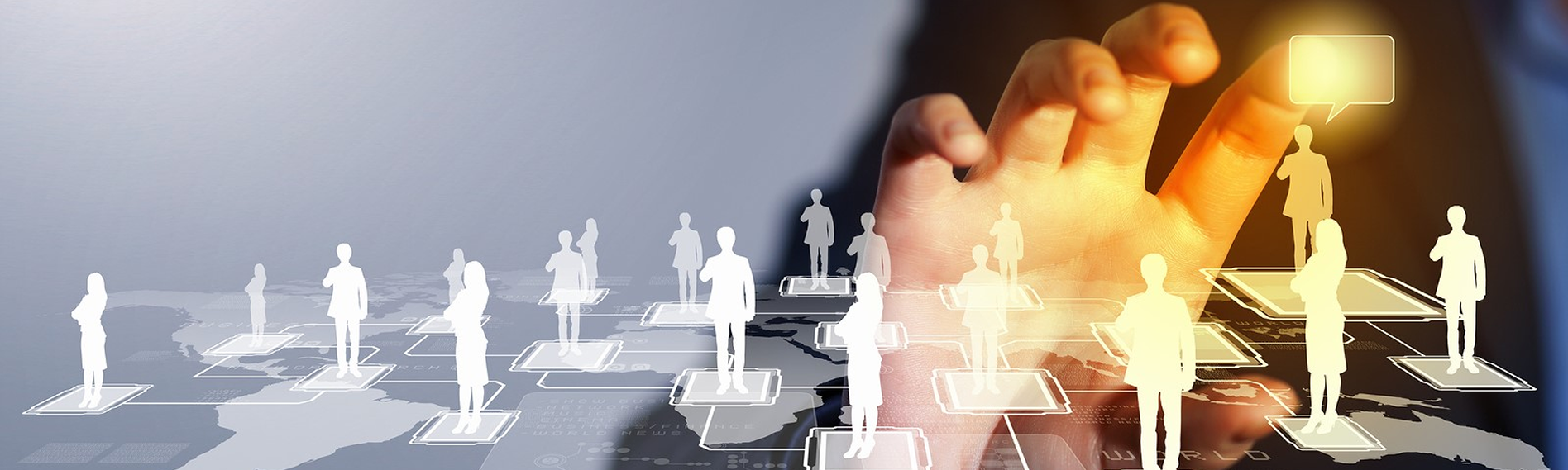 IT Consultancy